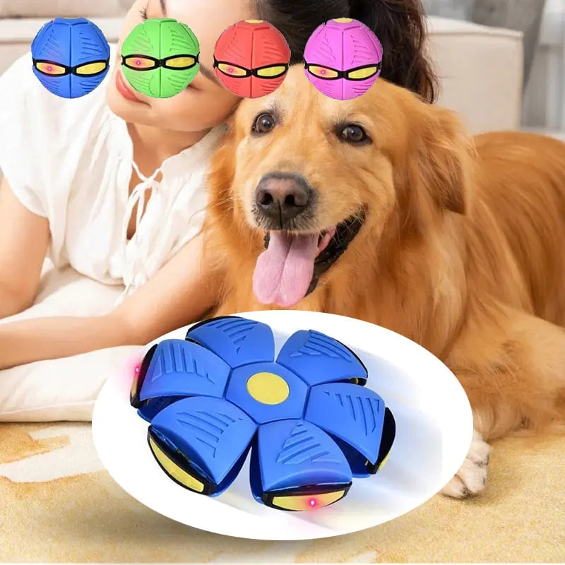 MagicPet Orb