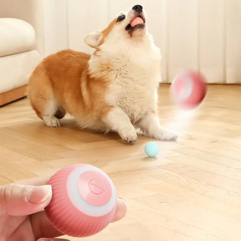 SmartFetch Pet Ball
