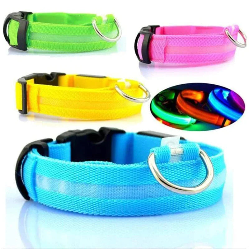 BrightPaws LED Dog Collar