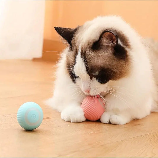 SmartFetch Pet Ball