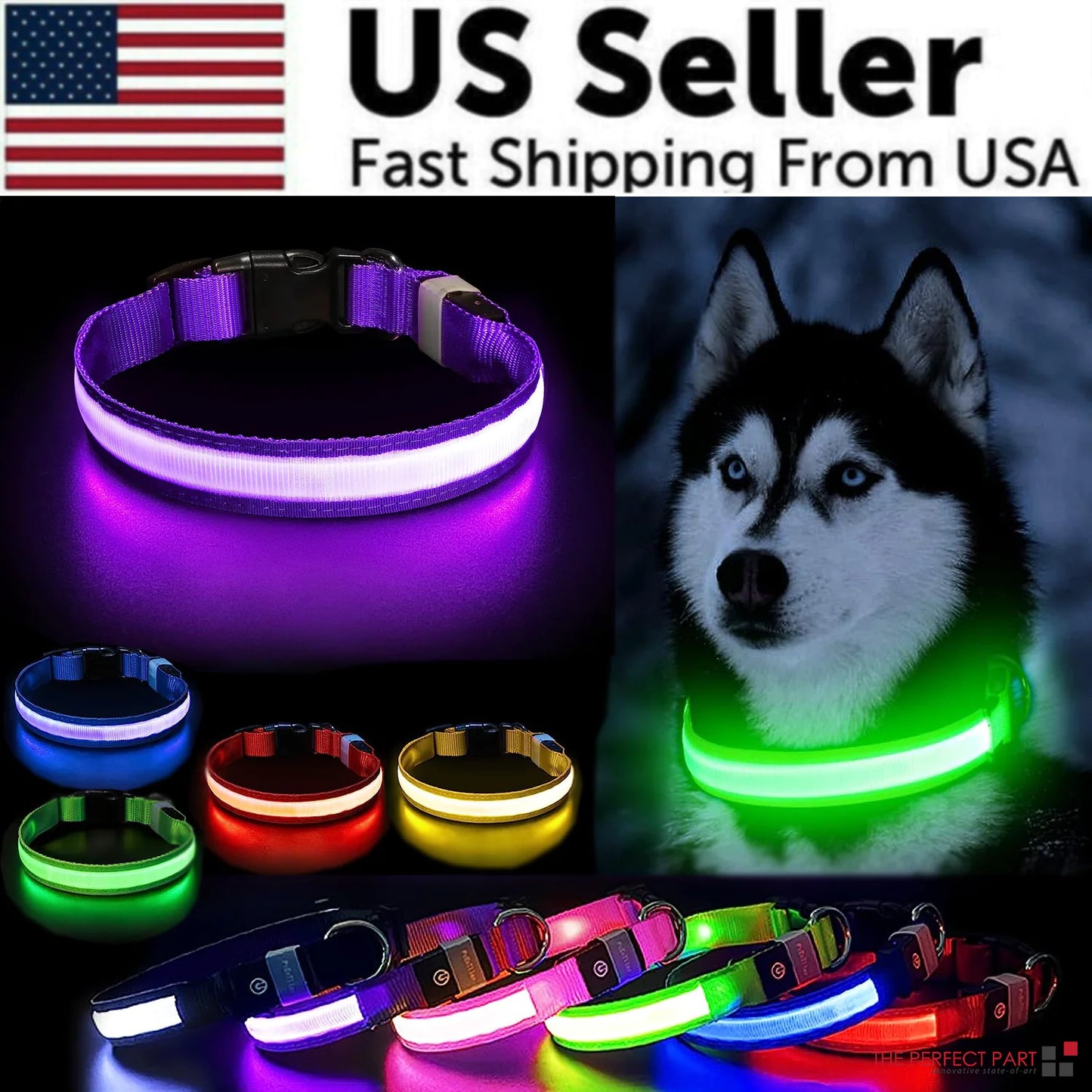 BrightPaws LED Dog Collar