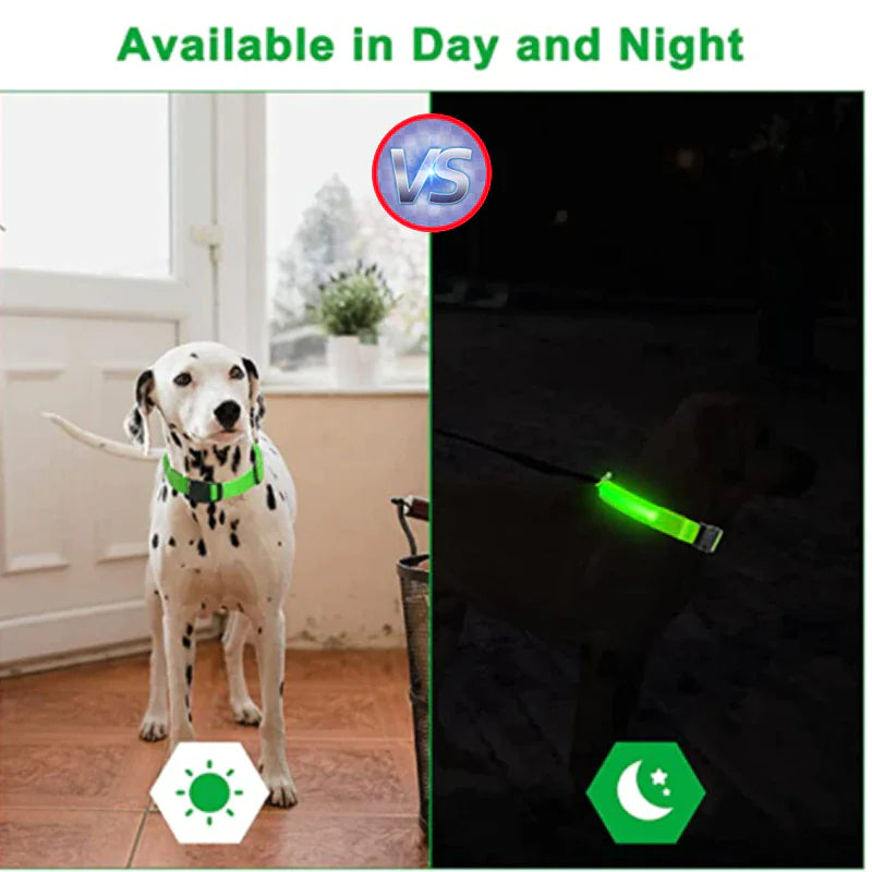 BrightPaws LED Dog Collar