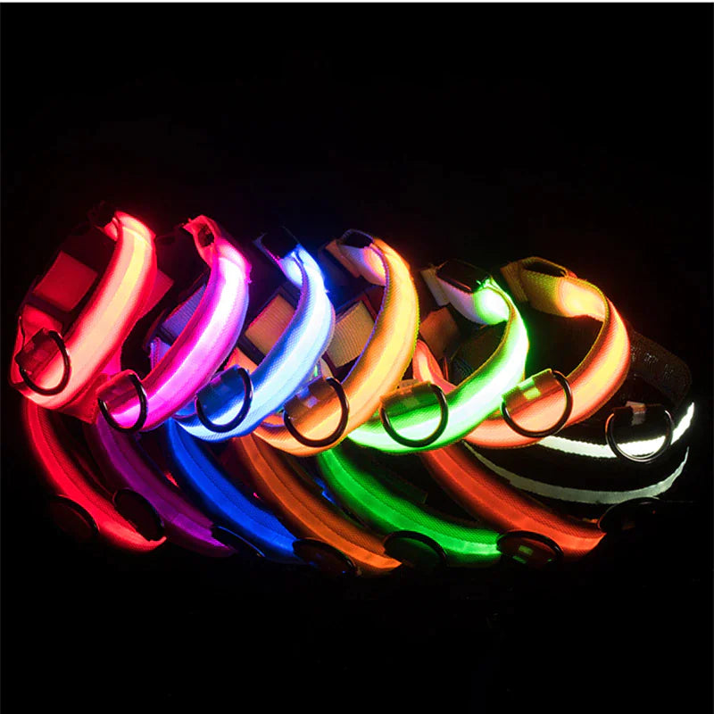 BrightPaws LED Dog Collar