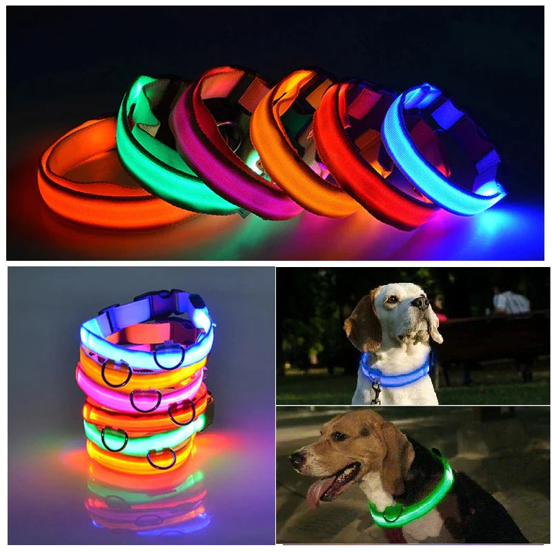 BrightPaws LED Dog Collar