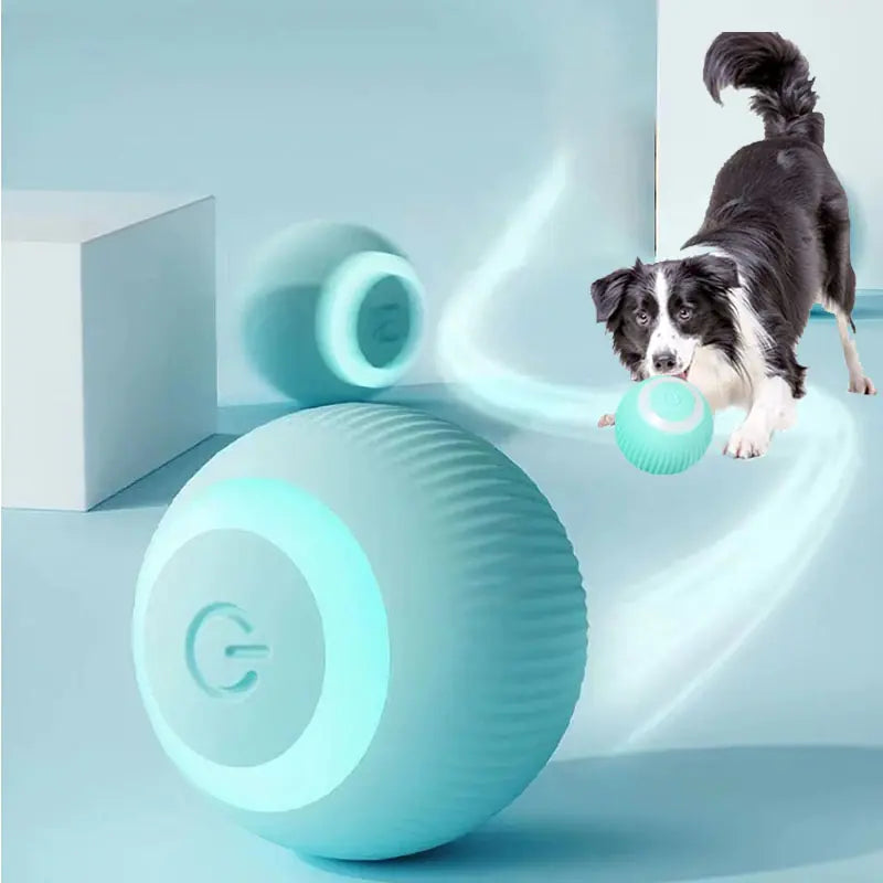 SmartFetch Pet Ball