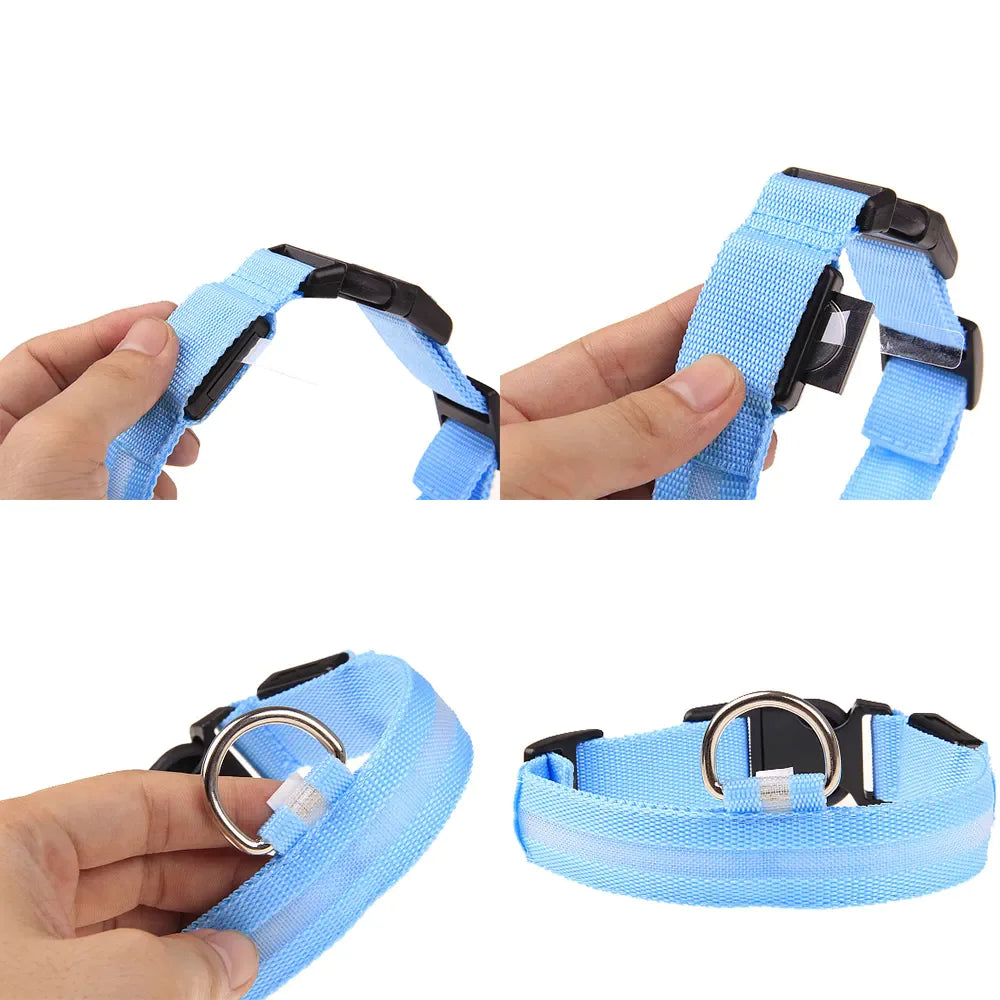 BrightPaws LED Dog Collar